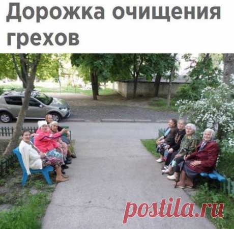 Самые прикольные фотомемы дня