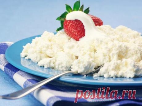 О пользе творога.