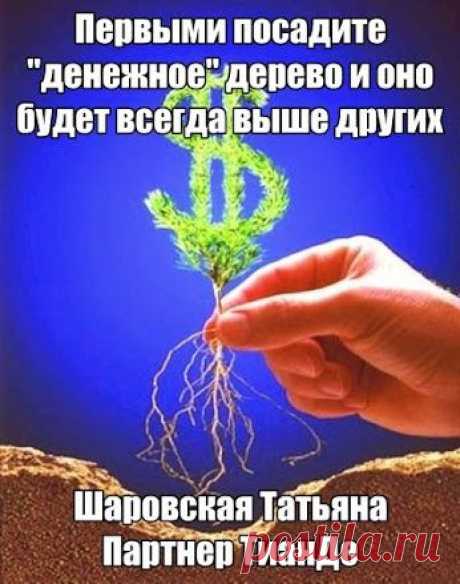 Неограниченный ПАССИВНЫЙ ДОХОД в социальной сети без ВЛОЖЕНИЙ  zaporizhzhia.tanya Sharovskaya – Google+