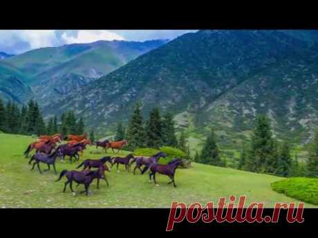 Ролик ""Иссык-Куль" - Григорьевское ущелье"