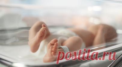 Кабмину России поручили подготовить идеи для улучшения демографической ситуации. Премьер-министр России Михаил Мишустин заявил, что российскому правительству поручили подготовить идеи для улучшения демографической ситуации. Читать далее