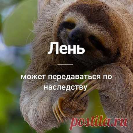 Узнай сегодня
