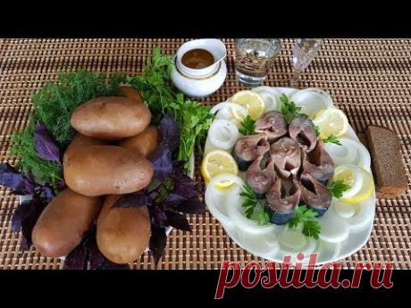 Скумбрия Соленая. Выпуск №536 - YouTube