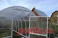 О проветривании теплиц. Насколько это важно для урожая? | 6 соток