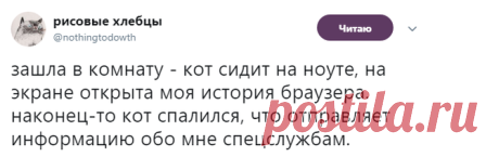 Смешные комментарии и высказывания из социальных сетей (42 фото) . Чёрт побери