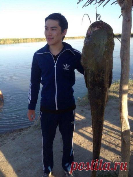 Алма-атинская область, Казакстан / Богатая добыча