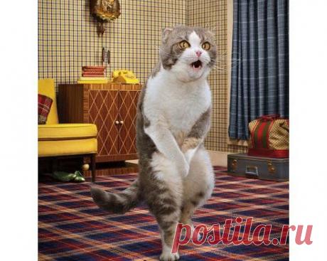 Интернет, интернет, отпусти в туалет, пол часа уже сижу, ноги крестиком держу.