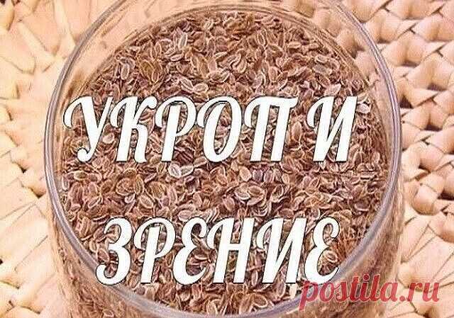 Глаза мои — хлеб мой. Как я катаракту укропом вылечила