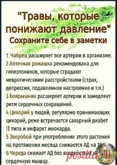 Полезно знать!
Сохраните себе на заметку