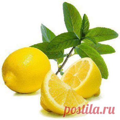 Мастер-классы для всех !