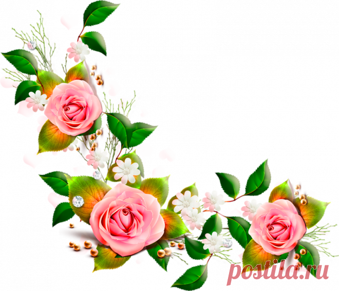 разные красивые детали на прозрачном фоне: 19 тыс изображений найдено в Яндекс.Картинках