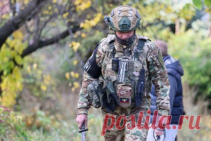 Раскрыто число погибших при терактах в Брянской и Курской областях
