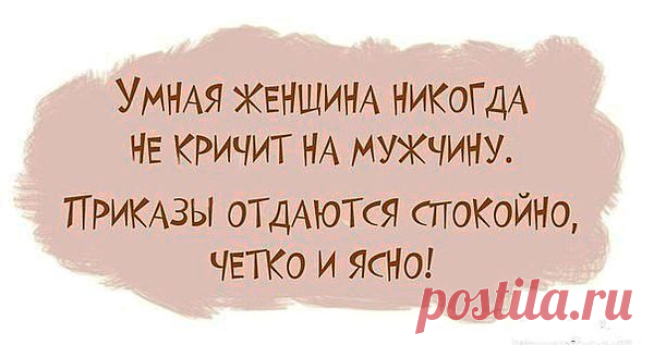 высказывания