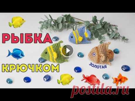 Золотая рыбка крючком  Давайте свяжем простых рыбок амигуруми в компанию к осьминогу, киту и медузе. Это может быть золотая рыбка или красная или полосатая. Рыбка вяжется оч...