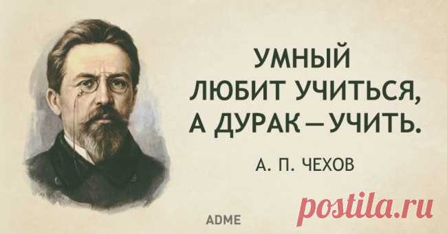 35 гениальных и коротких цитат Чехова. 

Один из друзей Чехова вспоминает такой случай:— Однажды мы разговорились о «Степи». Почему-то вспомнилась в самом начале фраза, на которой я запнулся, читая впервые рассказ: «Она была жива, пока не …