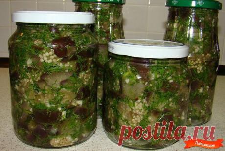 Мария: Сегодня — это то, что ты делал и думал вчера, а завтра — это то, что ты делаешь и думаешь сегодня.