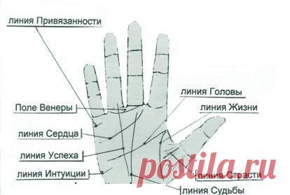 ЧТО ЗНАЧАТ ЛИНИИ НА ЛАДОНИ?
простым и доступным языком!

Чтение по руке одно из самых увлекательных занятий и развлечений. Первое упоминание о хиромантии относится к 2000 году до н. э. Хиромантия – это греческое слово, переводится как гадание или предсказание по руке. В средние века хиромантия считалась наукой, и сегодня интерес к хиромантии так же не угас. У каждого человека своя судьба, которая зашифрована на ладони в виде линий. 
Ричард Вебстер считает, что умение читат...