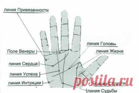 ЧТО ЗНАЧАТ ЛИНИИ НА ЛАДОНИ?
простым и доступным языком!

Чтение по руке одно из самых увлекательных занятий и развлечений. Первое упоминание о хиромантии относится к 2000 году до н. э. Хиромантия – это греческое слово, переводится как гадание или предсказание по руке. В средние века хиромантия считалась наукой, и сегодня интерес к хиромантии так же не угас. У каждого человека своя судьба, которая зашифрована на ладони в виде линий. 
Ричард Вебстер считает, что умение читат...