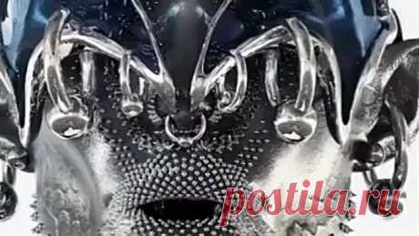 VID_20240402_123545_451.mp4