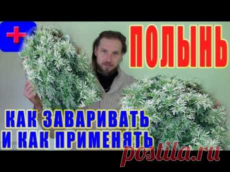 Полынь. Как заваривать ПОЛЫНЬ. Как применять полынь. Антипаразитарная чистка! - YouTube