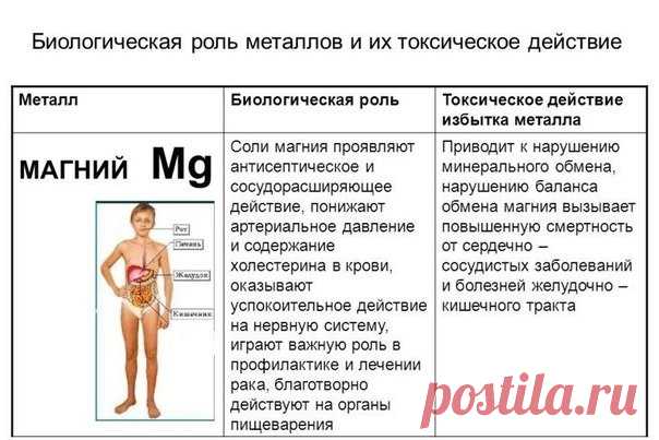 Магний и его роль в организме