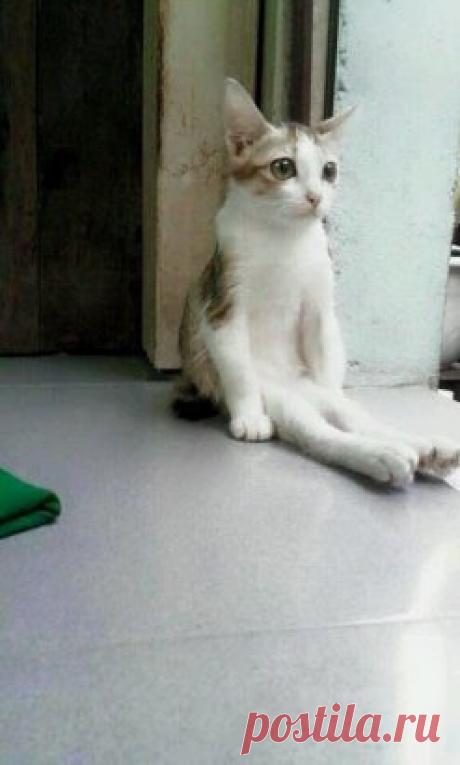 в ногах правды нет, посижу