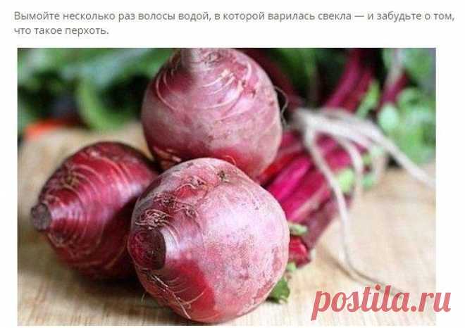 ПОСЛЕ ВАРКИ СВЕКЛЫ-ОПОЛОСНУТЬ ЭТОЙ ВОДОЙ ВОЛОСЫ-ОТ ПЕРХОТИ