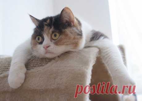 Безысходность