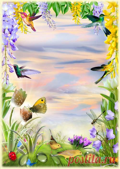 8 de marzo Marco para la descarga de fotos (free photo frame psd free photo frame png, descarga gratuita). Marco PNG transparente, plantilla de marco de fotos en capas PSD, descarga.