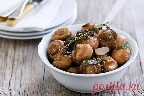 10 САМЫХ ВКУСНЫХ РЕЦЕПТОВ ГРИБОВ 

1. Засолка грибов - холодный способ.

грибы (рыжики, черные и белые грузди, волнушки, сыроежки) - 1 кг
Показать полностью…