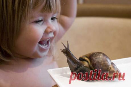 19 заповедей величайшего педагога в истории — Марии Монтессори !
  Проблема не в детях, а в системе обучения.Мария Монтессори была итальянским...
Читай дальше на сайте. Жми подробнее ➡