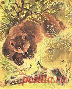 Демократия – одна из самых лукавых и неразумных идей общественного устройства в истории человечества. И все нечестные выборы, подтасовки и махинации с избирательными бюллетенями лишь доказывают, что те, кто реально хоть чем-то управлял и за кого-то отвечал, выбору большинства не доверяют и боятся его последствий. Страной должны управлять лучшие, а толпа, к сожалению, не способна отличить их от клоунов и корыстных манипуляторов. Принцип равенства голосов порочен. Об этом моя басня.