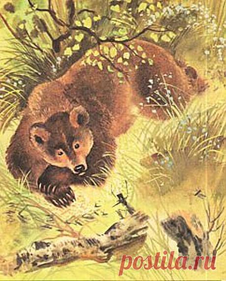 Демократия – одна из самых лукавых и неразумных идей общественного устройства в истории человечества. И все нечестные выборы, подтасовки и махинации с избирательными бюллетенями лишь доказывают, что те, кто реально хоть чем-то управлял и за кого-то отвечал, выбору большинства не доверяют и боятся его последствий. Страной должны управлять лучшие, а толпа, к сожалению, не способна отличить их от клоунов и корыстных манипуляторов. Принцип равенства голосов порочен. Об этом моя басня.