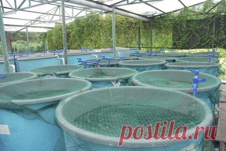 10 новых профессий, которые могут быть востребованы уже через 15 лет | Среда обитания