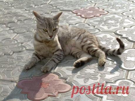 Сейчас, когда заходит речь о хобби, от многих женщин можно услышать рассуждения по поводу нехватки ни времени, ни сил на подобное.

 С одной стороны, конечно, можно было бы на этом и закончить рассуждения на тему хобби в женской жизни, но…