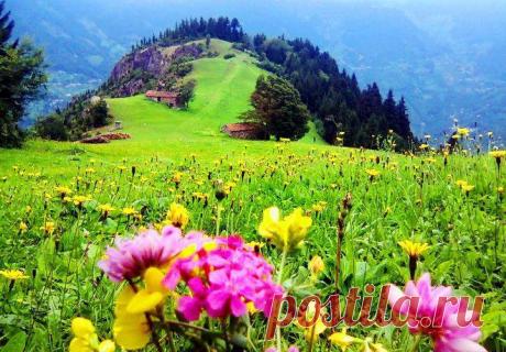 En Güzel Doğa ve Manzara Resimleri - Sayfa 70 - AiLeVaDiSi FoRuM