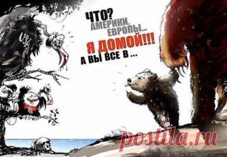 big.jpeg (Изображение JPEG, 480 × 334 пикселов)