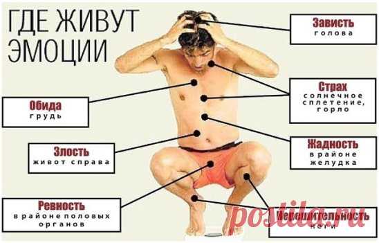 Семь страстей, приводящих к болезни: 
1) обильная радость - это инфаркт;
2) постоянная печаль - поражение легких;
3) гневливость - заболевание печени;
4) зависть - поражение печени и почек;
5) плаксивость - поражение сердечной оболочки;
6) испуг - поражение желчного пузыря, сахарный диабет;
7) безмерная заботливость - поражение селезенки.
Причина болезни - это три зла: стяжательство, гнев, невежество.