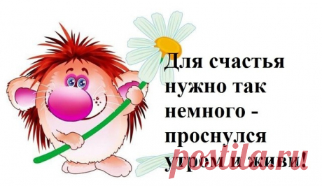Доброе утро, друзья! С началом новой трудовой недели!