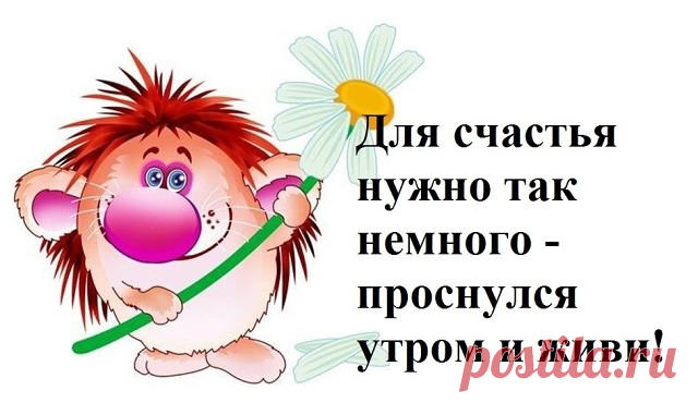 Доброе утро, друзья! С началом новой трудовой недели!