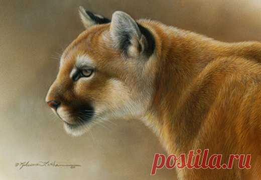 Приморская художественная галерея и новые миниатюры | Картины дикой природы и природы Ребекки Лэтэм