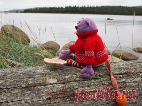 Связала себе друга-кота и путешествую с ним по русскому северу. Про природу и вязаных котиков | Дурушка вяжет | Яндекс Дзен