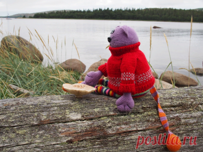 Связала себе друга-кота и путешествую с ним по русскому северу. Про природу и вязаных котиков | Дурушка вяжет | Яндекс Дзен