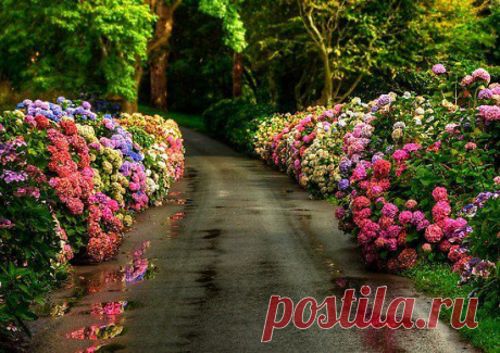 Фотографии на стене сообщества | 32 769 фотографий | ВКонтакте