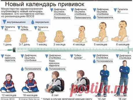 Календарь заразности. (это НАДО знать!)