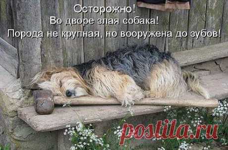 Интересные новости