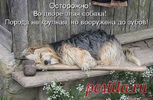 Интересные новости