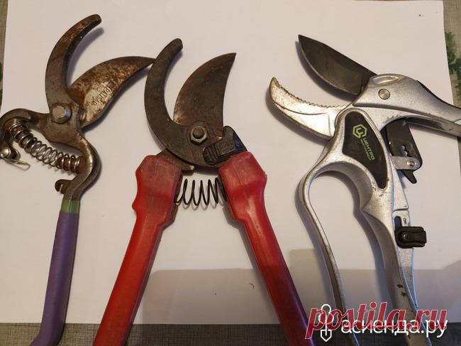 Вторая жизнь секатору: Группа Садовая техника, инвентарь и инструменты