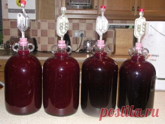 ВКУСНОЕ Домашнее сливовое ВИНО
 Для классического рецепта вина из сливы нужно взять: 10кг сливы, 2 кг сахара, 50 г дрожжей. Способ приготовления. Сливы промываем, удаляем косточки, заливаем небольшим количеством воды и провариваем до мягкости.
Массу протираем через сито, добавляем сахар и дрожжи, перемешиваем, выкладываем в емкость для брожения и плотно укупориваем пробкой с водяным затвором.
Ставим для брожения в теплое место.
Когда процесс брожения завершится, молодое вино сливаем, добавля