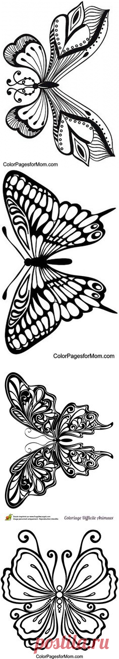 (88) Pinterest